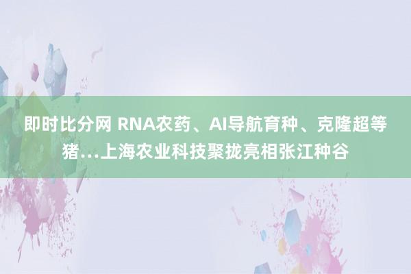 即时比分网 RNA农药、AI导航育种、克隆超等猪…上海农业科技聚拢亮相张江种谷