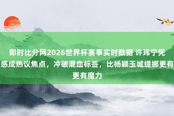 即时比分网2026世界杯赛事实时数据 许玮宁凭外乡感成热议焦点，冲破混血标签，比杨颖玉城缇娜更有魔力