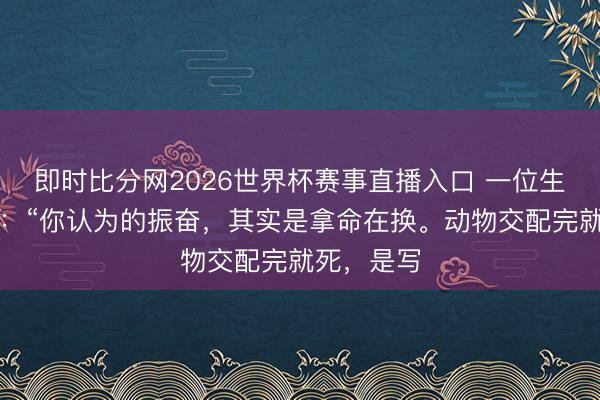 即时比分网2026世界杯赛事直播入口 一位生物学家说：“你认为的振奋，其实是拿命在换。动物交配完就死，是写